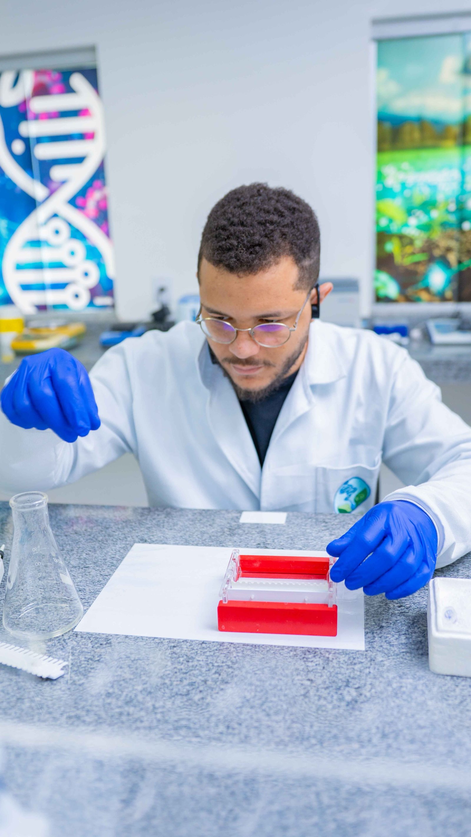 Bandeja de gel com resultados de eletroforese
